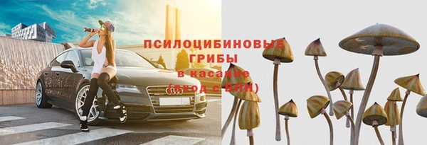 apvp Новозыбков