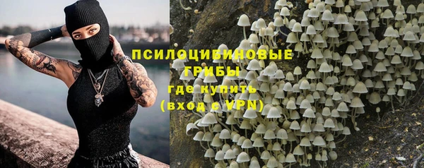 дживик Арсеньев