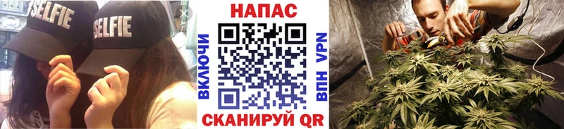 Бошки Шишки семена  Можга 